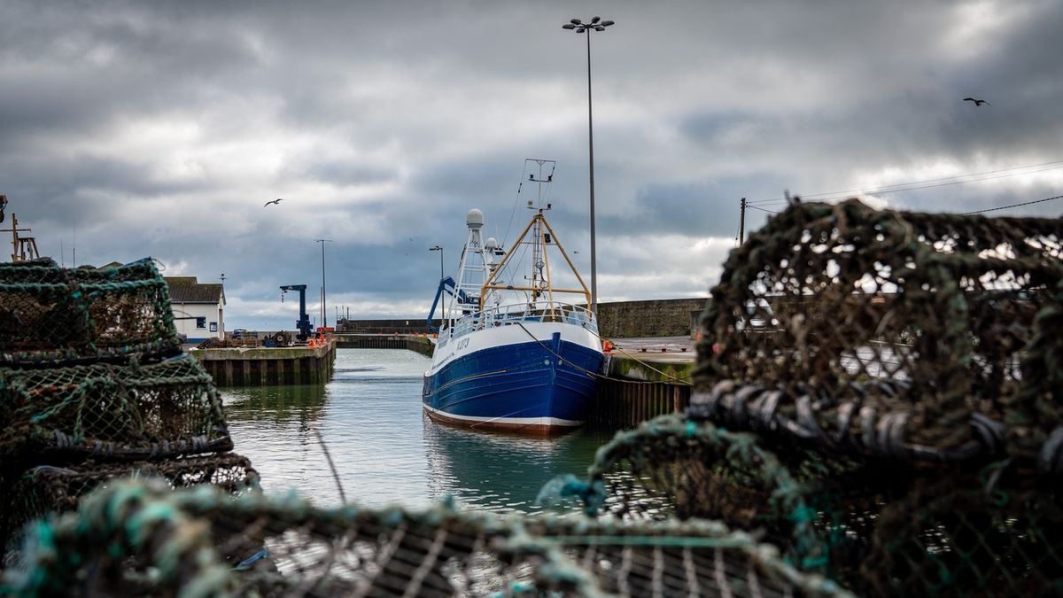 Britské ryby byly symbolem brexitu, rybáři jsou s dohodou nespokojeni